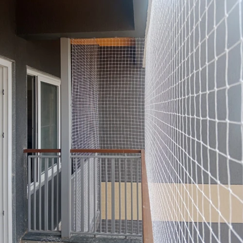 Anti Bird Nets installation - Project 6