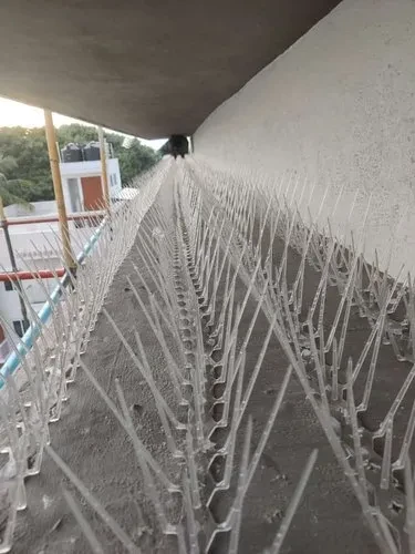 Bird Control Spikes installation - Project 4