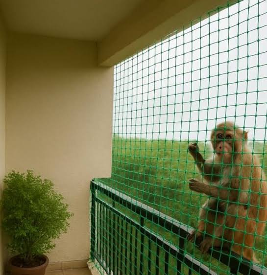 Monkey Safety Nets installation in 