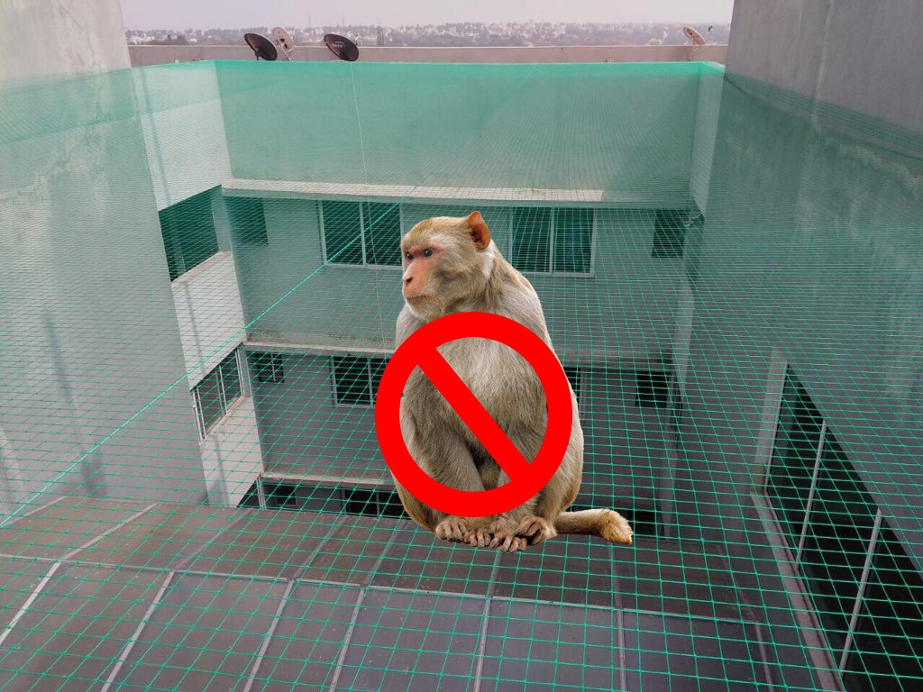 Monkey Safety Nets installation - Project 6