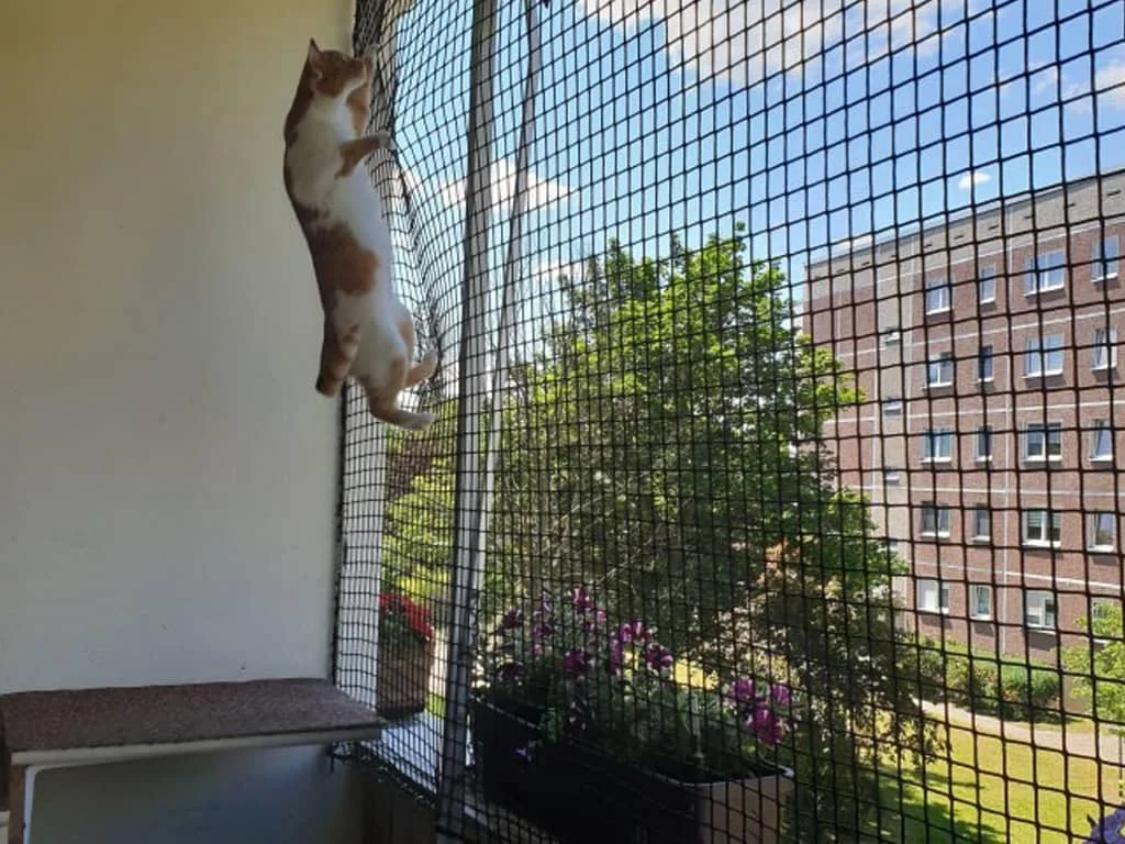 Pets Safety Nets installation - Project 2