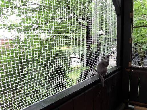 Pets Safety Nets installation - Project 4