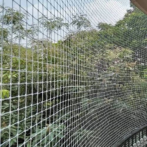 Pigeon Safety Nets installation in 